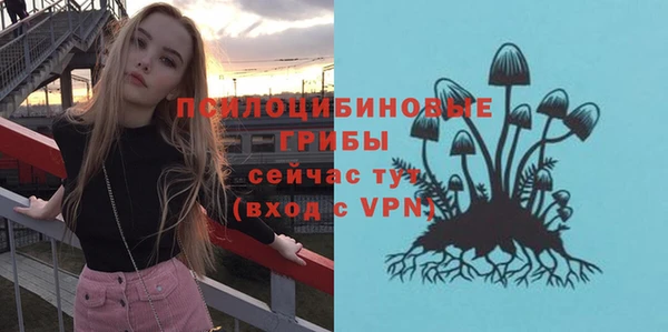 СК Балахна