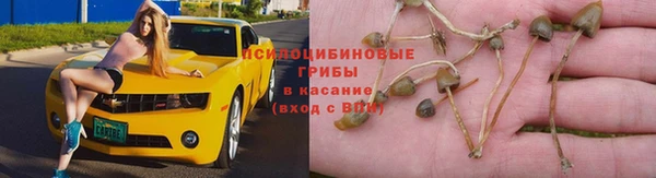 PSILOCYBIN Баксан