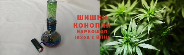 PSILOCYBIN Баксан