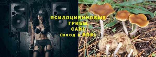 СК Балахна
