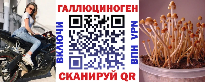 Псилоцибиновые грибы ЛСД  Унеча 