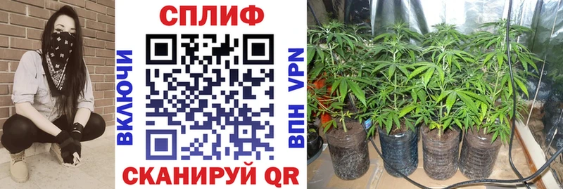 Марихуана конопля  наркошоп  Унеча 
